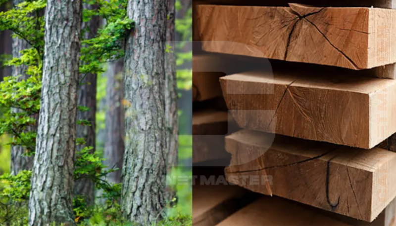 phân biệt gỗ tự nhiên và gỗ công nghiệp